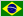 Brazilian language module